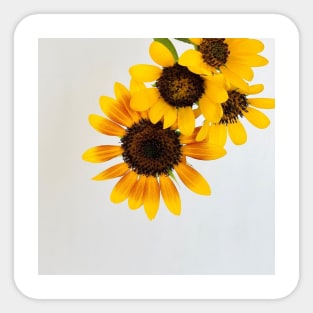 Gradation Yellow Flower Sticker